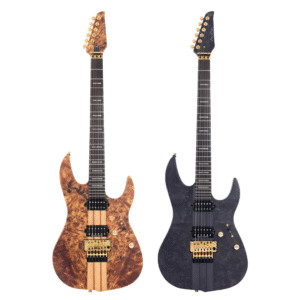 Sire | Larry Carlton X Series | X10 電吉他