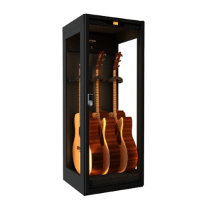 LENTHEM 領頓 | DMI-305DT | 吉他防潮櫃 防潮箱