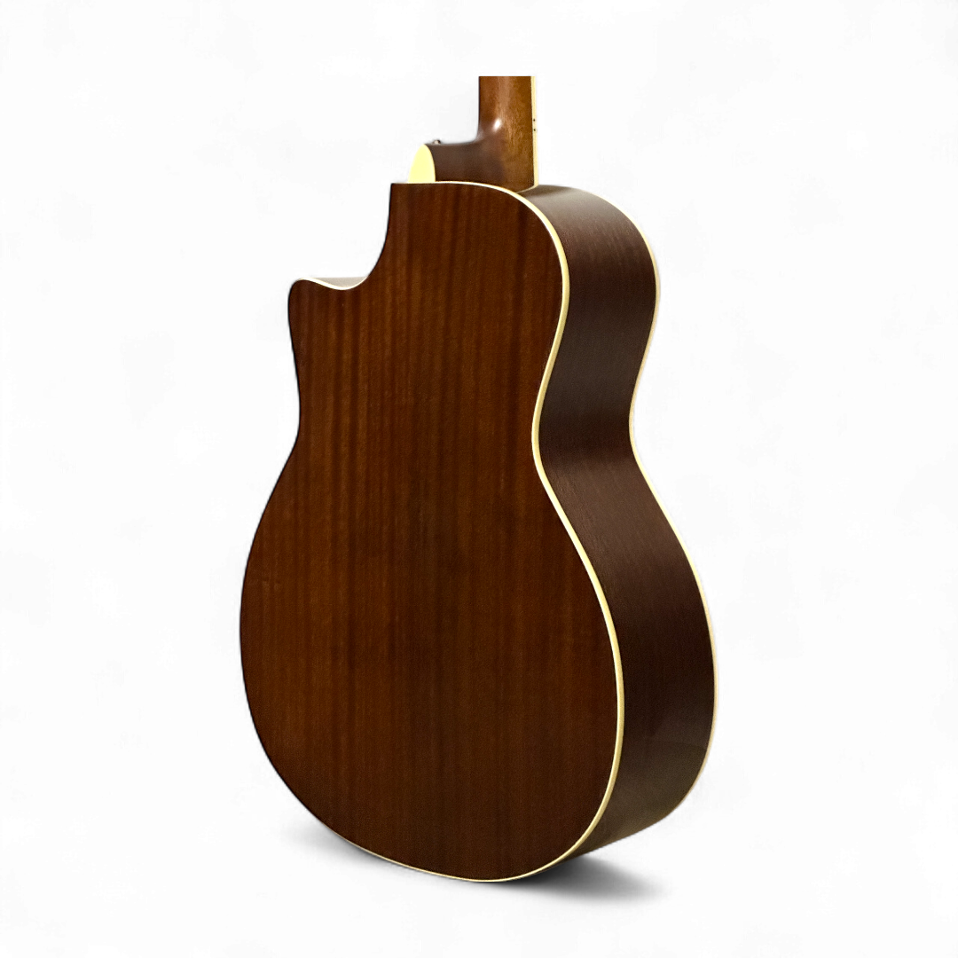 SIRE R2 桃花心木側背板與桶身