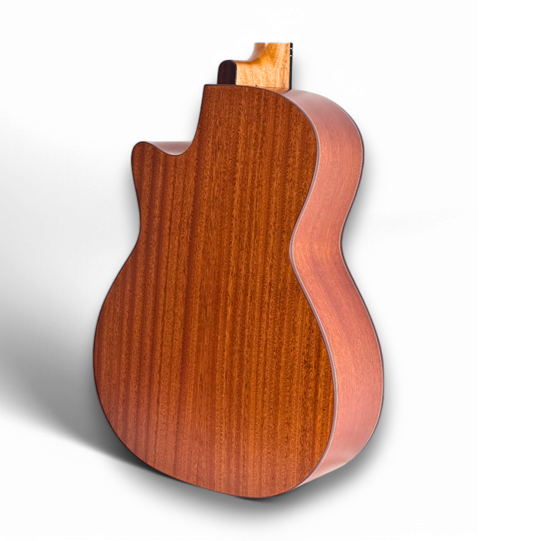 沙比利木背側板