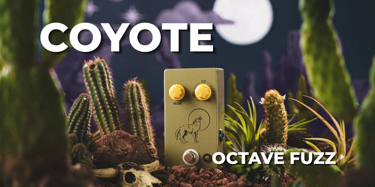 coyote banner