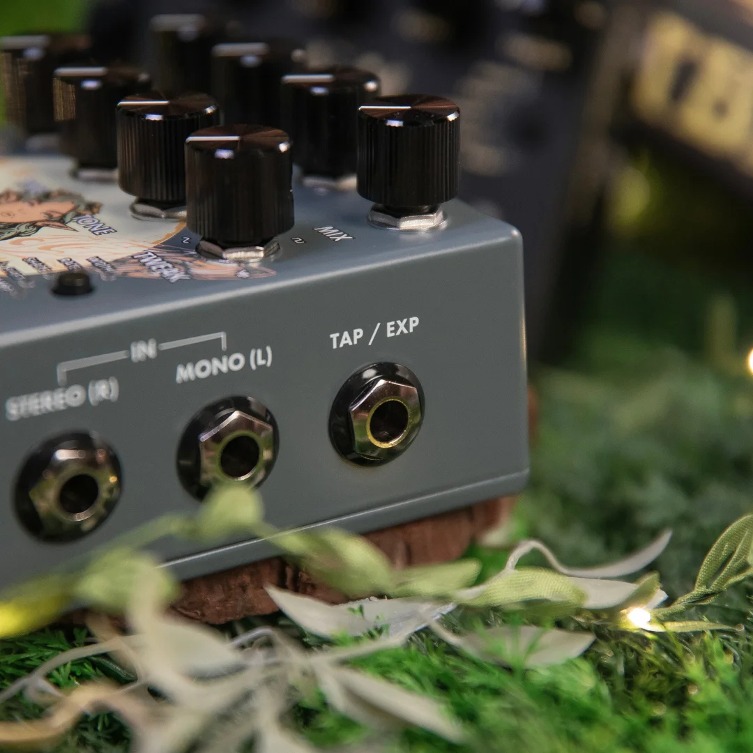 Walrus Audio Fable MKII Expression Input