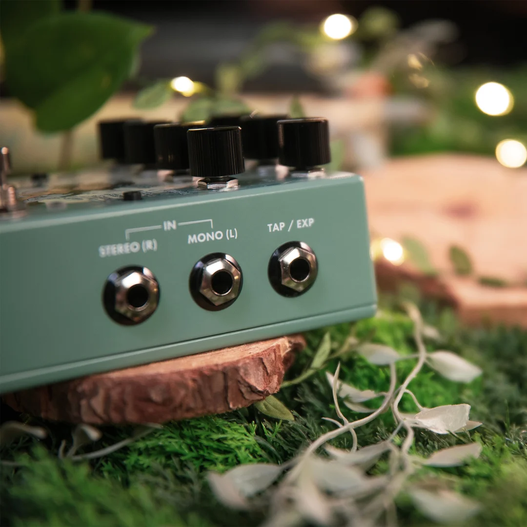 Walrus Audio Lore MKII Expression Input
