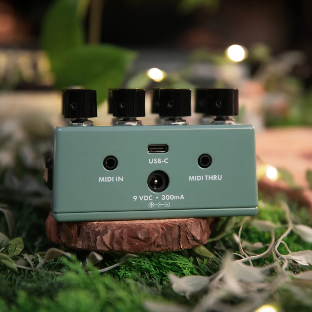 Walrus Audio Lore MKII MIDI Expression